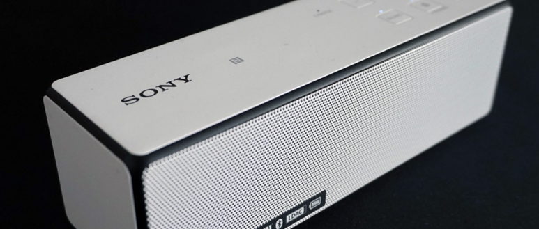 Sony SRS-X33